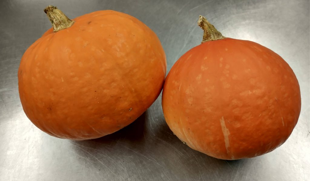 sunshine squash