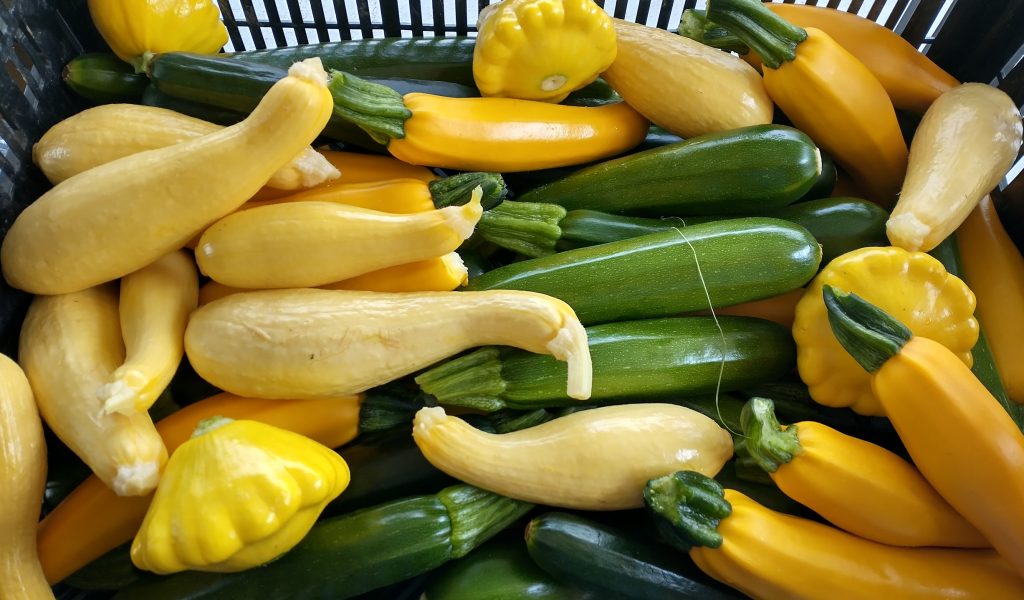 zucchini