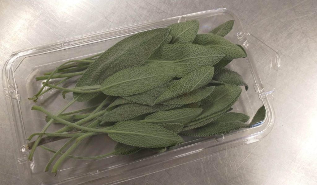 fresh sage